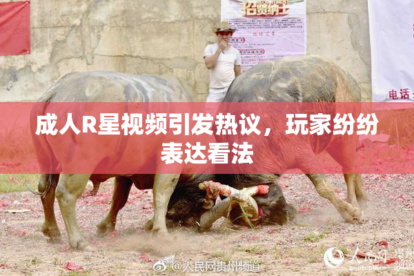 成人R星视频引发热议，玩家纷纷表达看法