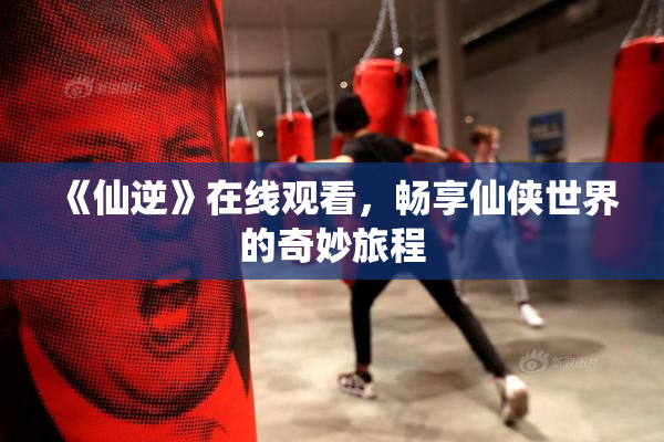 《仙逆》在线观看，畅享仙侠世界的奇妙旅程