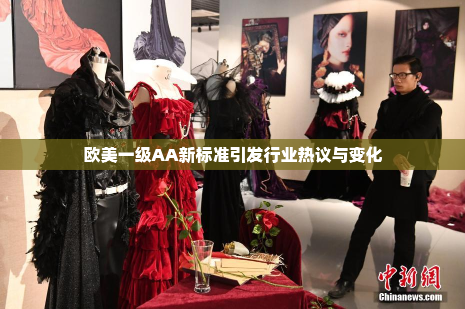 欧美一级AA新标准引发行业热议与变化