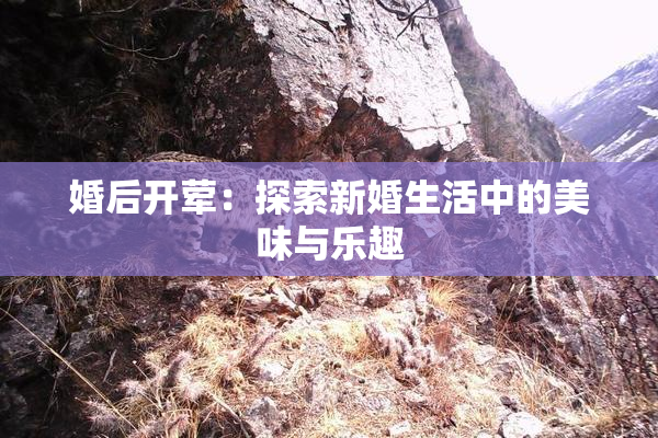 婚后开荤：探索新婚生活中的美味与乐趣