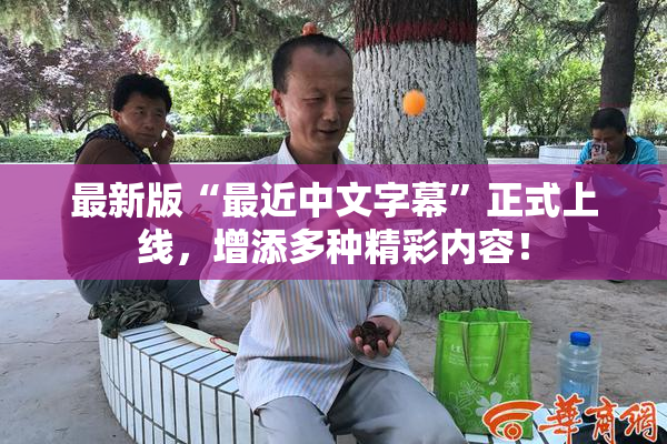 最新版“最近中文字幕”正式上线，增添多种精彩内容！