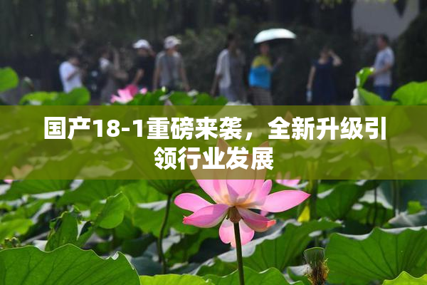 国产18-1重磅来袭，全新升级引领行业发展