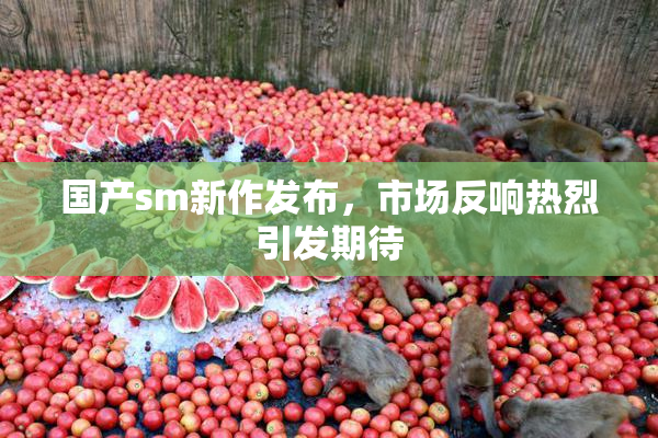 国产sm新作发布，市场反响热烈引发期待
