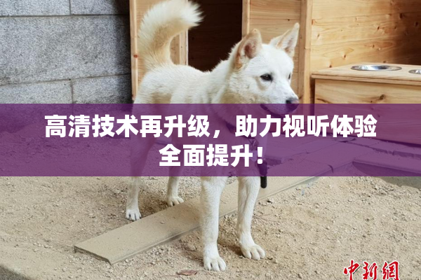 高清技术再升级，助力视听体验全面提升！