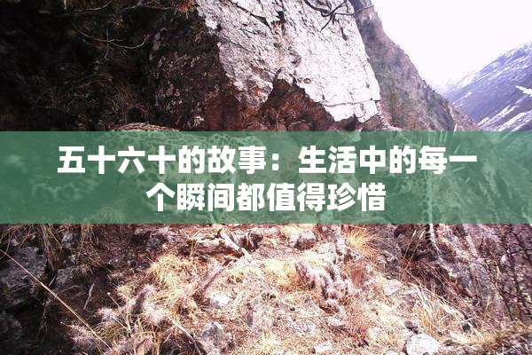 五十六十的故事：生活中的每一个瞬间都值得珍惜