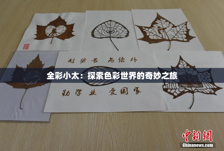 全彩小太：探索色彩世界的奇妙之旅