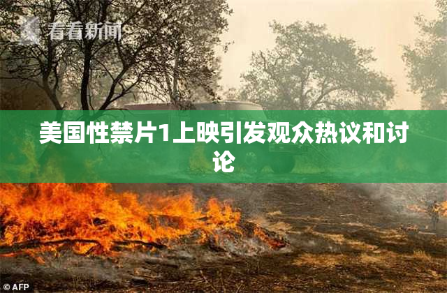 美国性禁片1上映引发观众热议和讨论