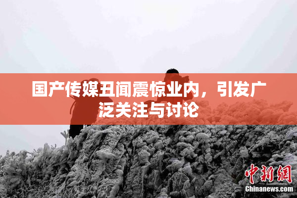国产传媒丑闻震惊业内，引发广泛关注与讨论