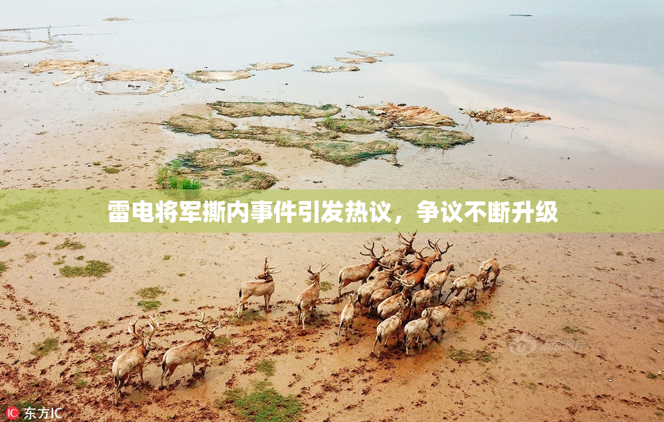 雷电将军撕内事件引发热议，争议不断升级
