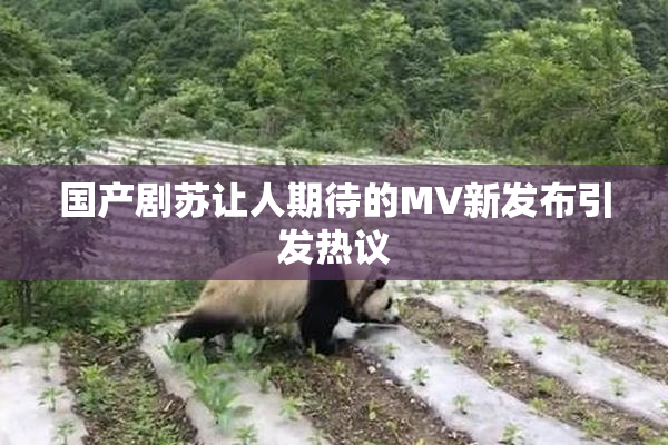 国产剧苏让人期待的MV新发布引发热议