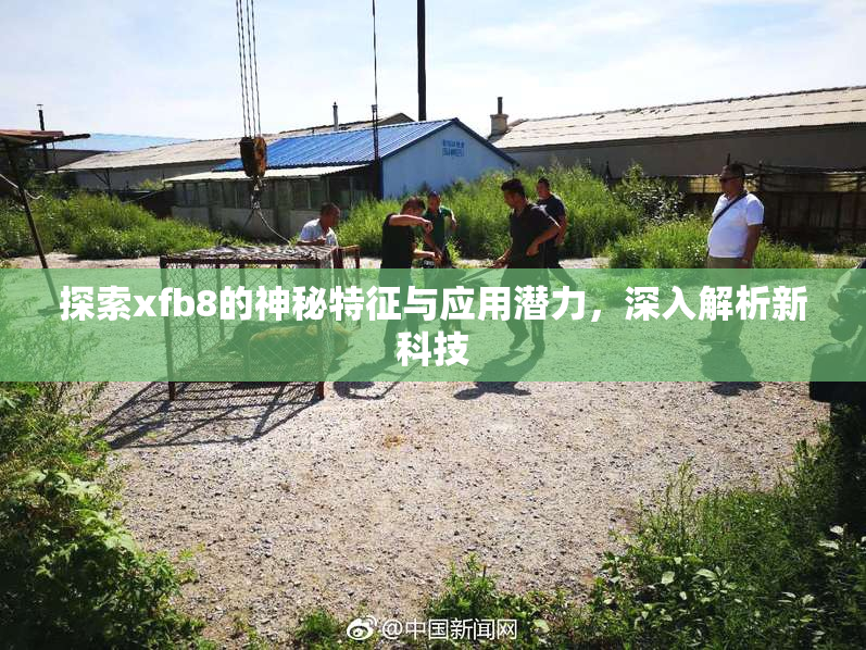 探索xfb8的神秘特征与应用潜力，深入解析新科技