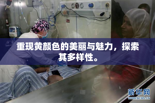 重现黄颜色的美丽与魅力，探索其多样性。