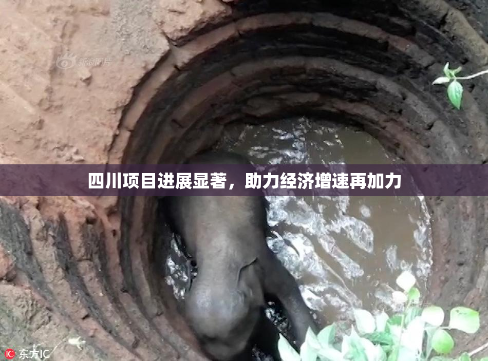 四川项目进展显著，助力经济增速再加力