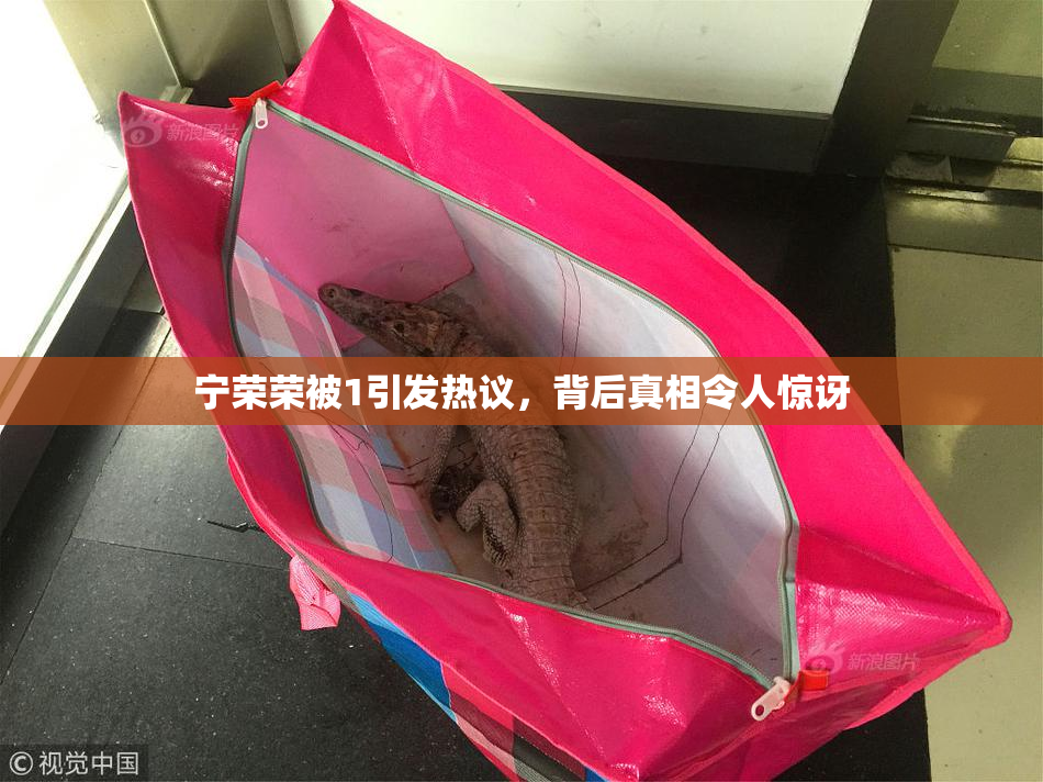 宁荣荣被1引发热议，背后真相令人惊讶
