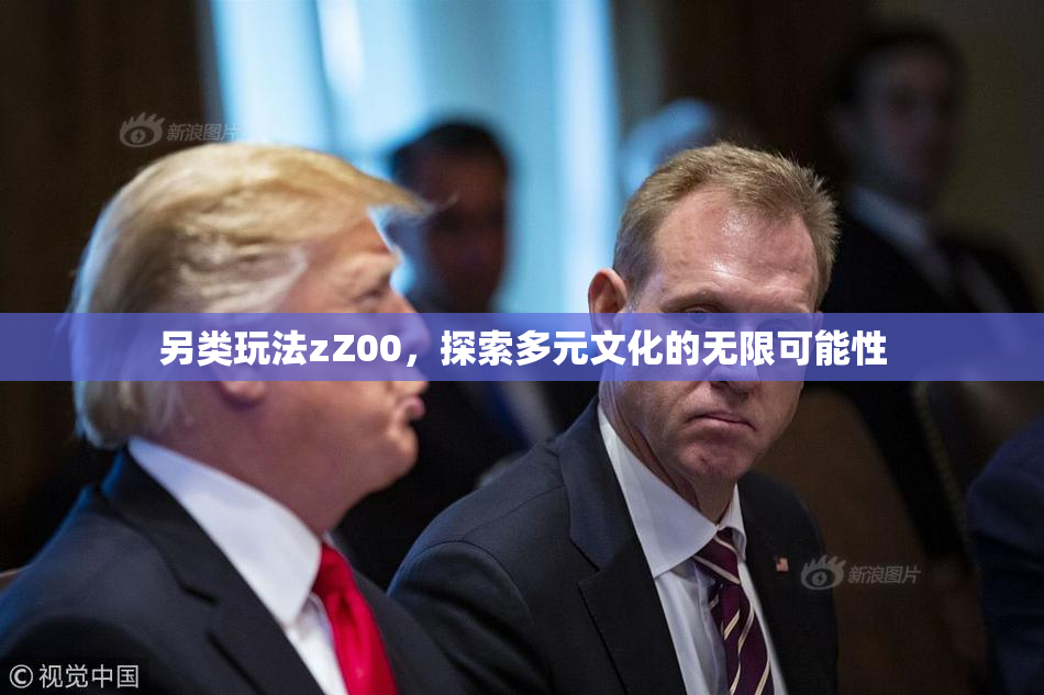 另类玩法zZ00，探索多元文化的无限可能性