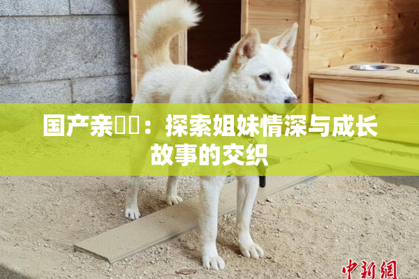 国产亲妺妺：探索姐妹情深与成长故事的交织