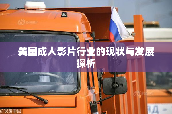 美国成人影片行业的现状与发展探析