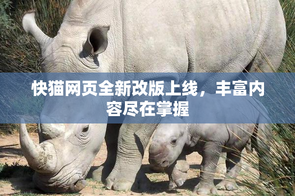 快猫网页全新改版上线，丰富内容尽在掌握