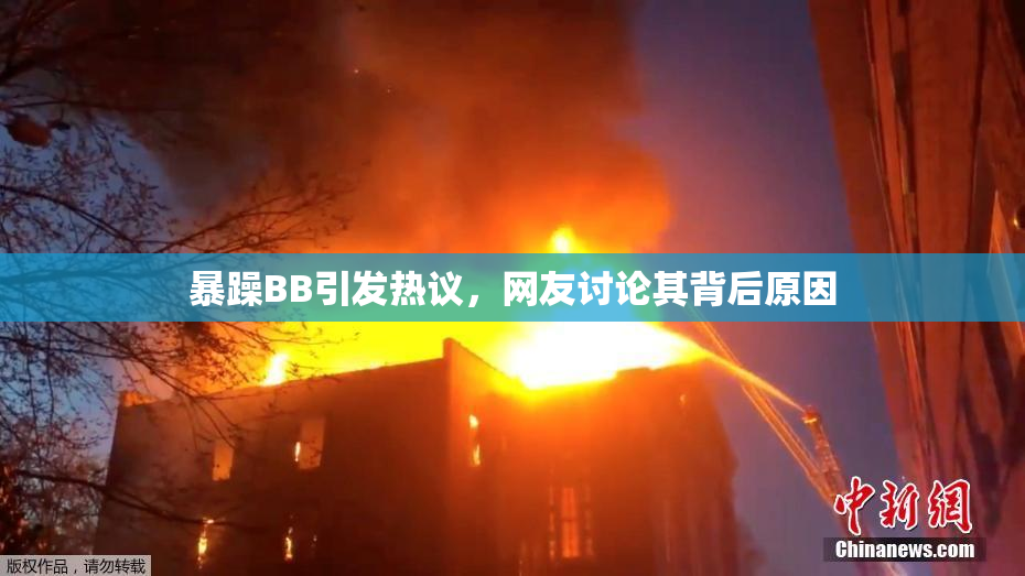 暴躁BB引发热议，网友讨论其背后原因