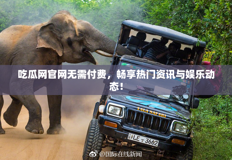吃瓜网官网无需付费，畅享热门资讯与娱乐动态！
