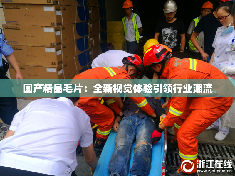 国产精品毛片：全新视觉体验引领行业潮流