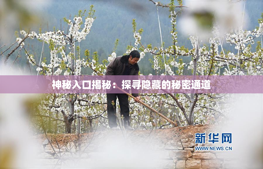 神秘入口揭秘：探寻隐藏的秘密通道