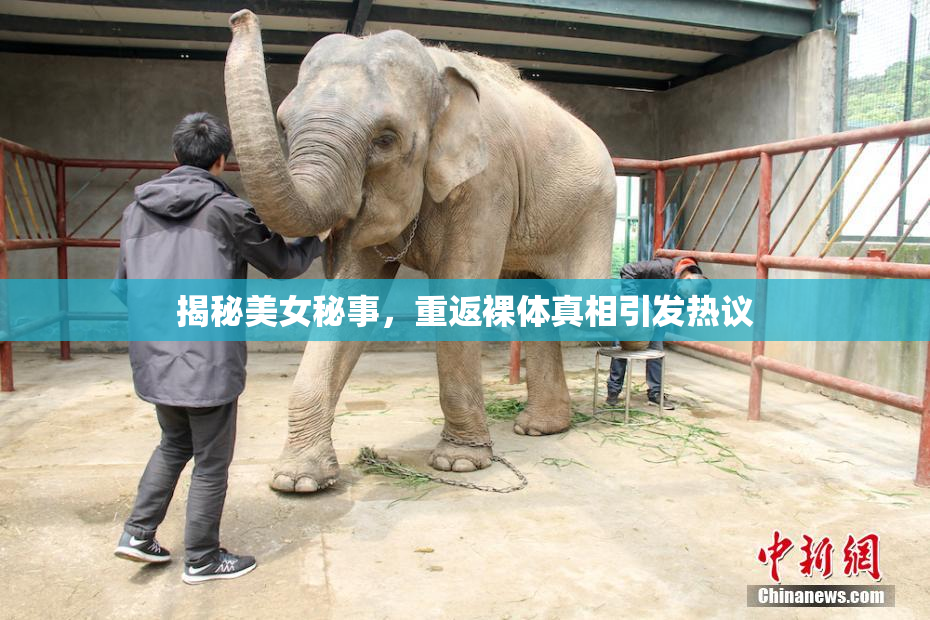 揭秘美女秘事，重返裸体真相引发热议