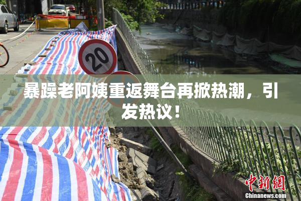 暴躁老阿姨重返舞台再掀热潮，引发热议！