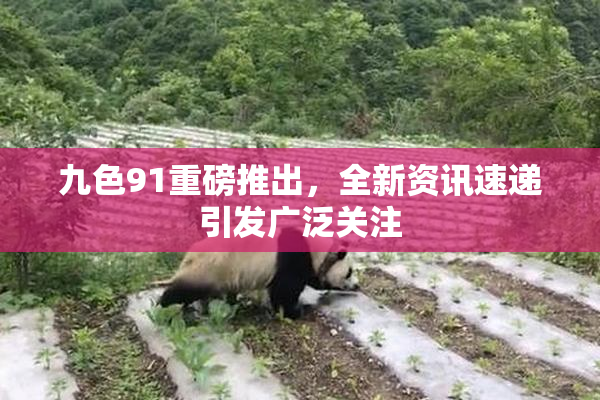 九色91重磅推出，全新资讯速递引发广泛关注