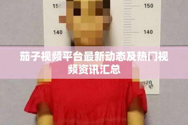 茄子视频平台最新动态及热门视频资讯汇总