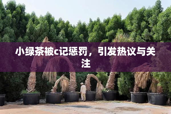 小绿茶被c记惩罚，引发热议与关注