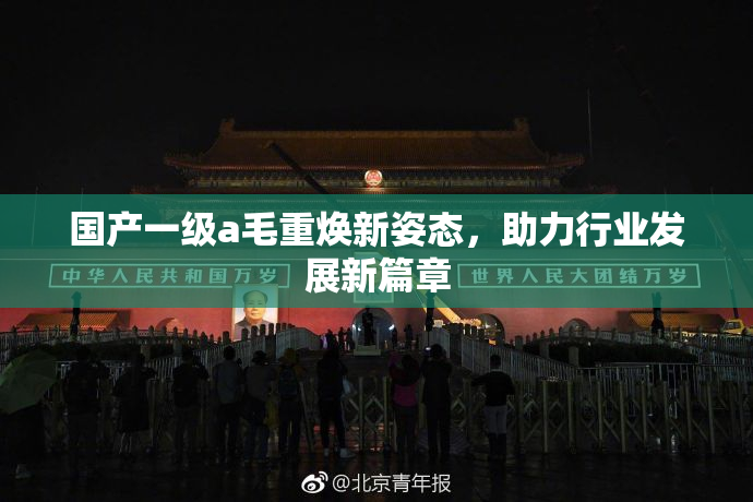 国产一级a毛重焕新姿态，助力行业发展新篇章