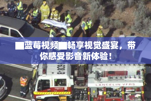 ▇蓝莓视频▇畅享视觉盛宴，带你感受影音新体验！