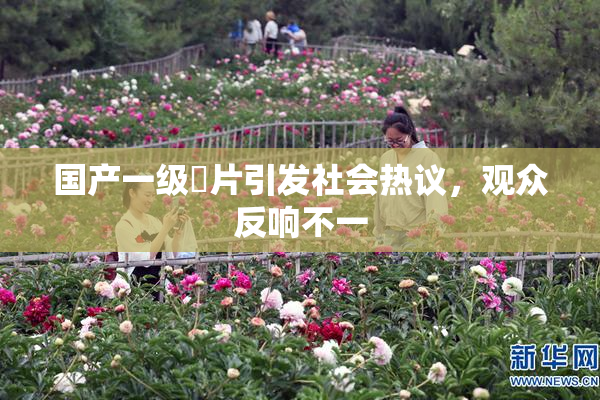 国产一级婬片引发社会热议，观众反响不一