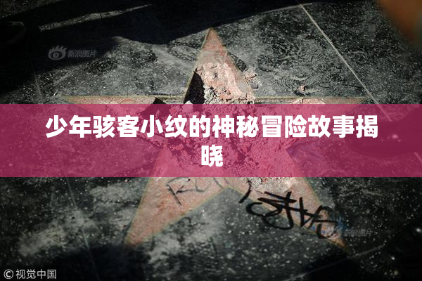 少年骇客小纹的神秘冒险故事揭晓