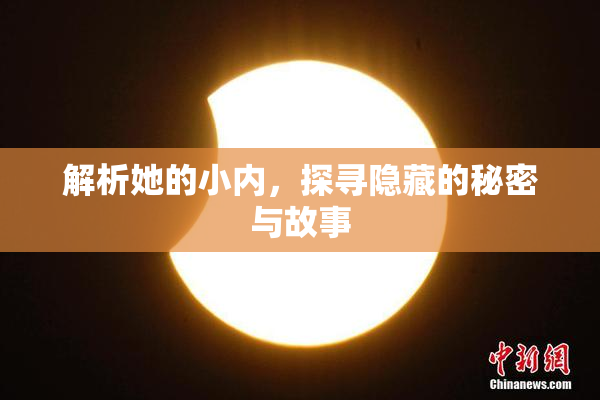 解析她的小内，探寻隐藏的秘密与故事