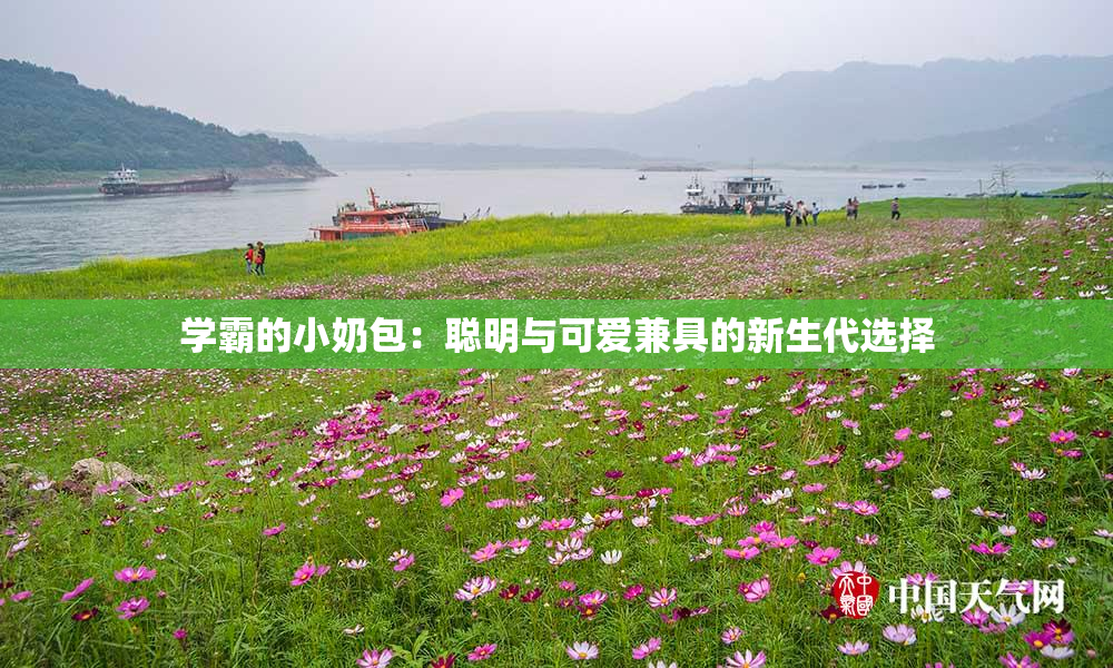 学霸的小奶包：聪明与可爱兼具的新生代选择