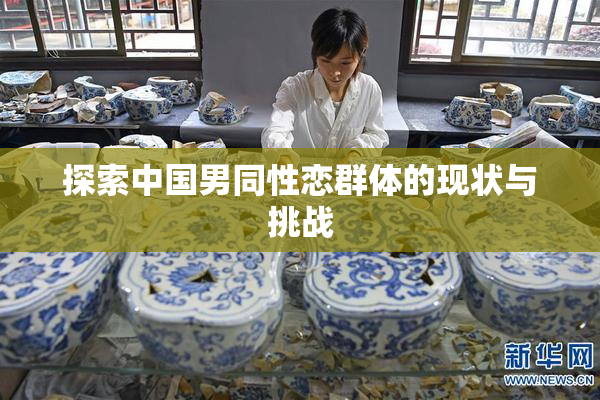探索中国男同性恋群体的现状与挑战