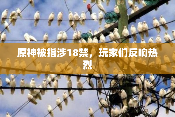 原神被指涉18禁，玩家们反响热烈