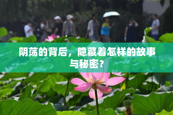 阴荡的背后，隐藏着怎样的故事与秘密？