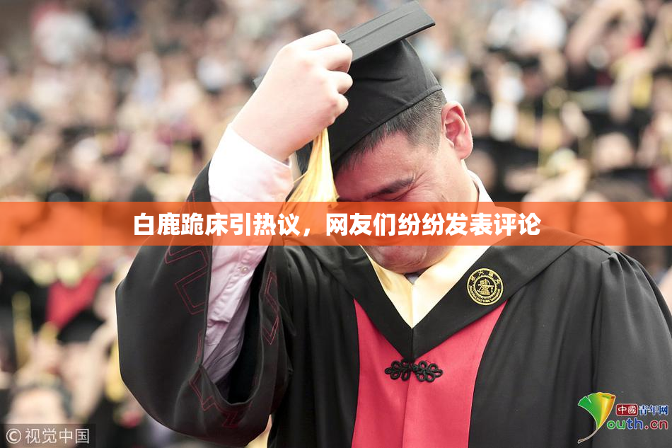 白鹿跪床引热议，网友们纷纷发表评论