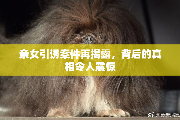 亲女引诱案件再揭露，背后的真相令人震惊