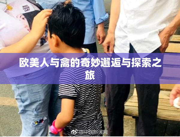 欧美人与禽的奇妙邂逅与探索之旅