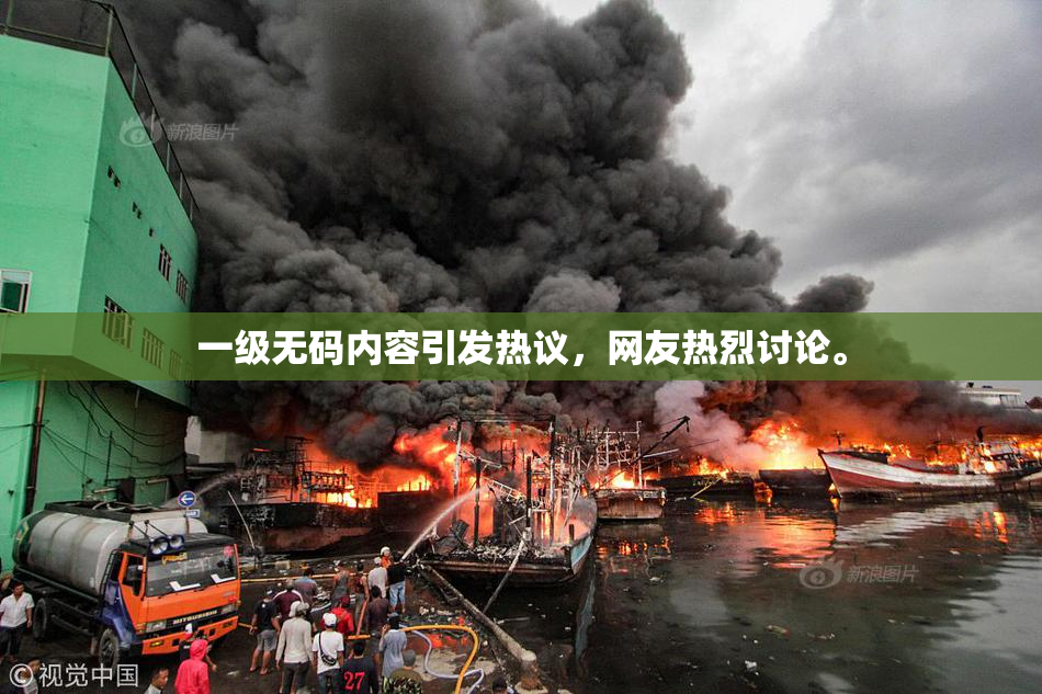 一级无码内容引发热议，网友热烈讨论。