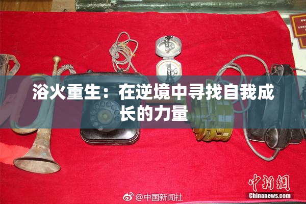 浴火重生：在逆境中寻找自我成长的力量