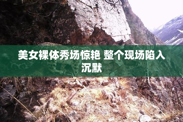 美女裸体秀场惊艳 整个现场陷入沉默