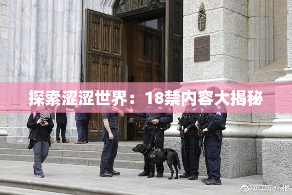 探索涩涩世界：18禁内容大揭秘