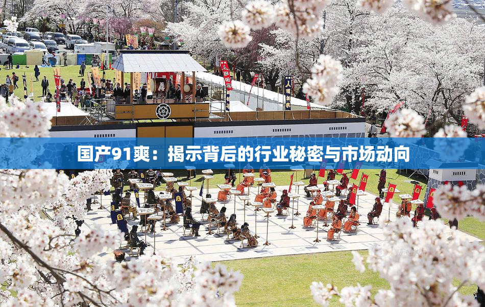 国产91爽：揭示背后的行业秘密与市场动向