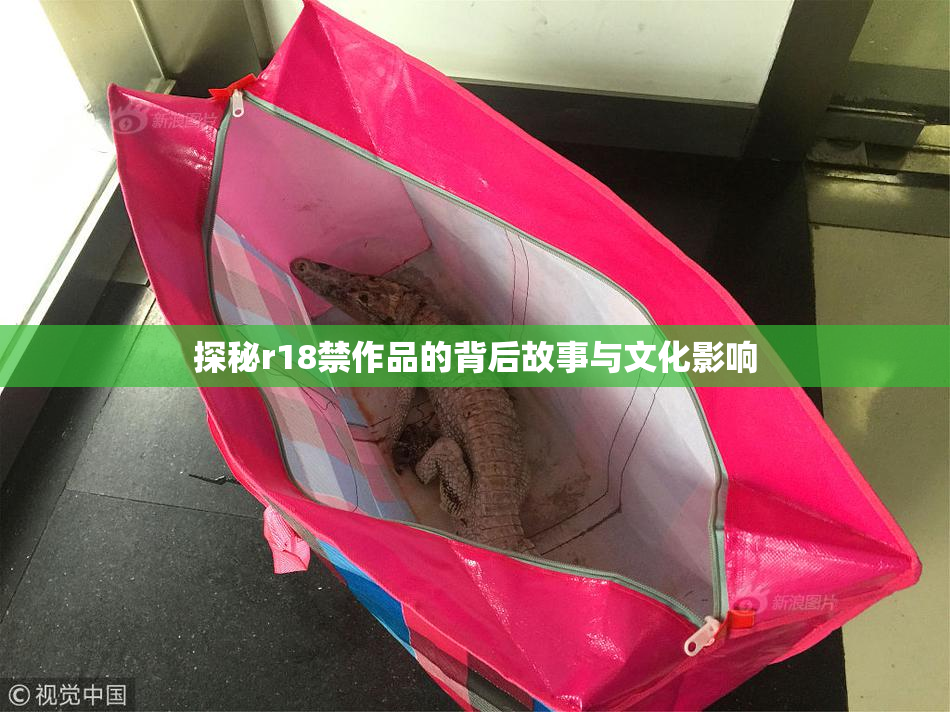 探秘r18禁作品的背后故事与文化影响