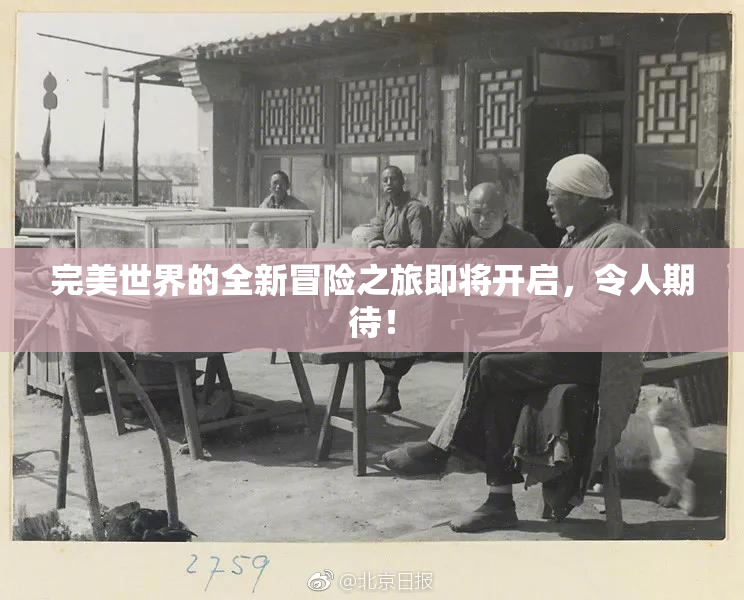 完美世界的全新冒险之旅即将开启，令人期待！